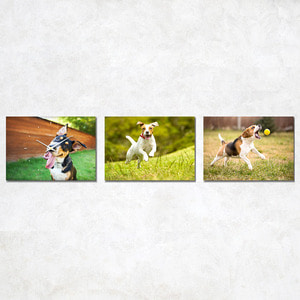 레티나 디자인시리즈 - 동물1(개, 강아지)